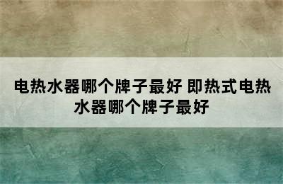 电热水器哪个牌子最好 即热式电热水器哪个牌子最好